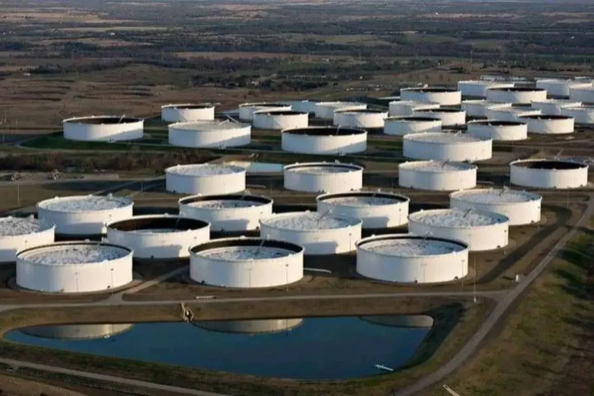 Oil
